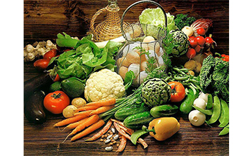 農(nóng)產(chǎn)品追溯系統(tǒng)的管理功能有哪些？